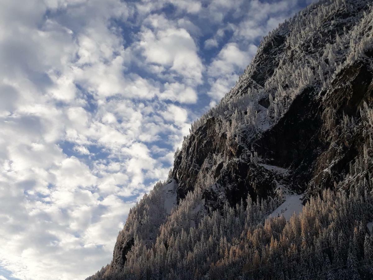Apart Alpenflair سانكت ليونارد إم بيتزتال المظهر الخارجي الصورة